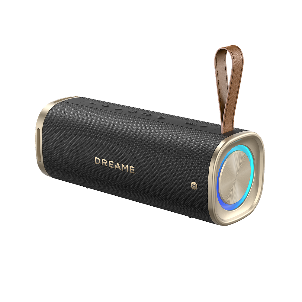Беспроводная колонка Dreame S10