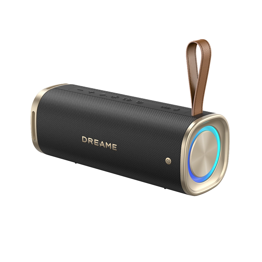 Беспроводная колонка Dreame S10