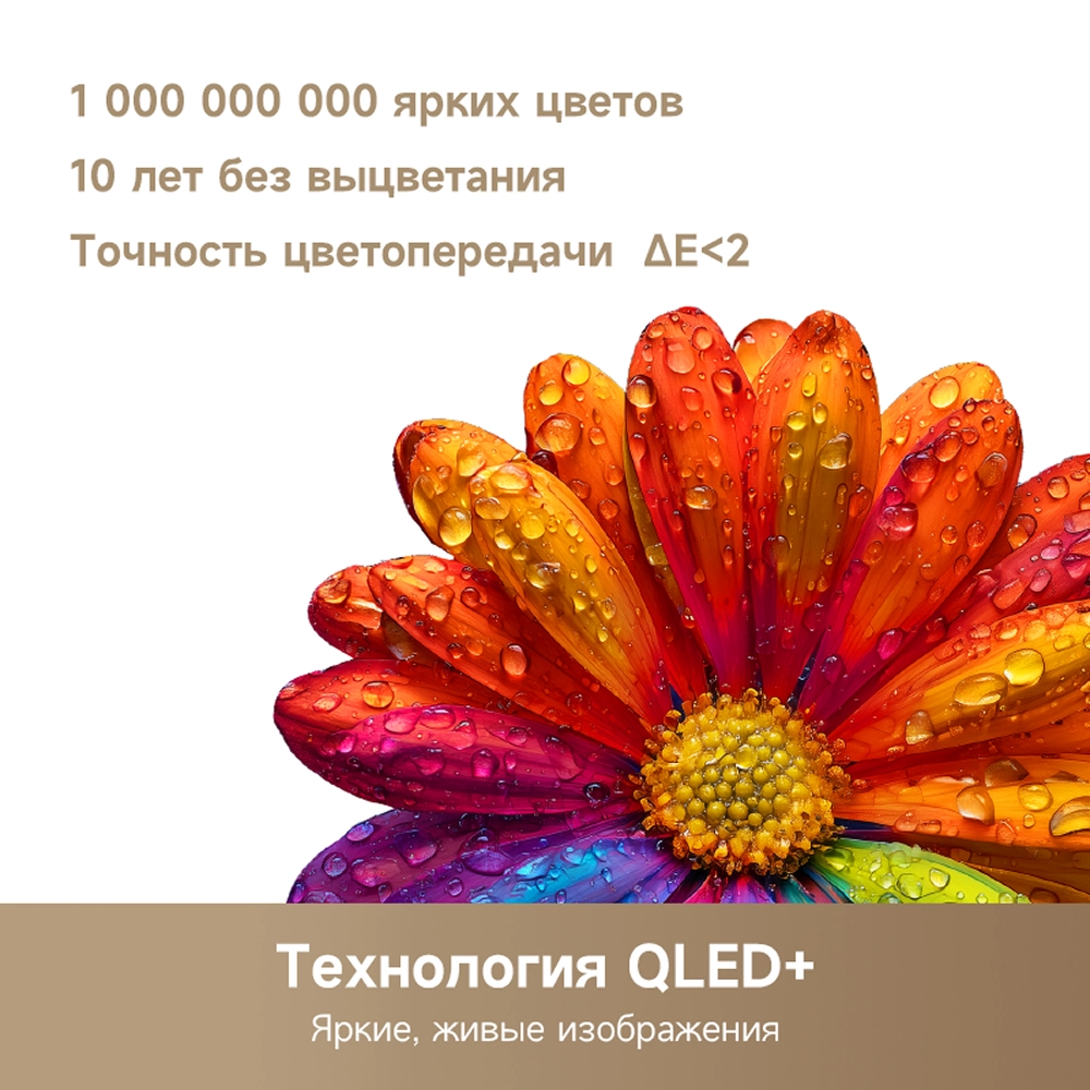 Телевизор Dreame QLED FHD Smart TV Q10 32"