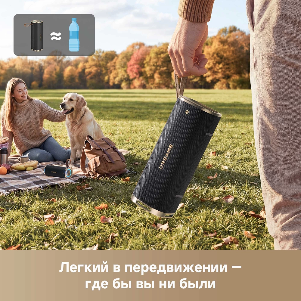 Беспроводная колонка Dreame S10