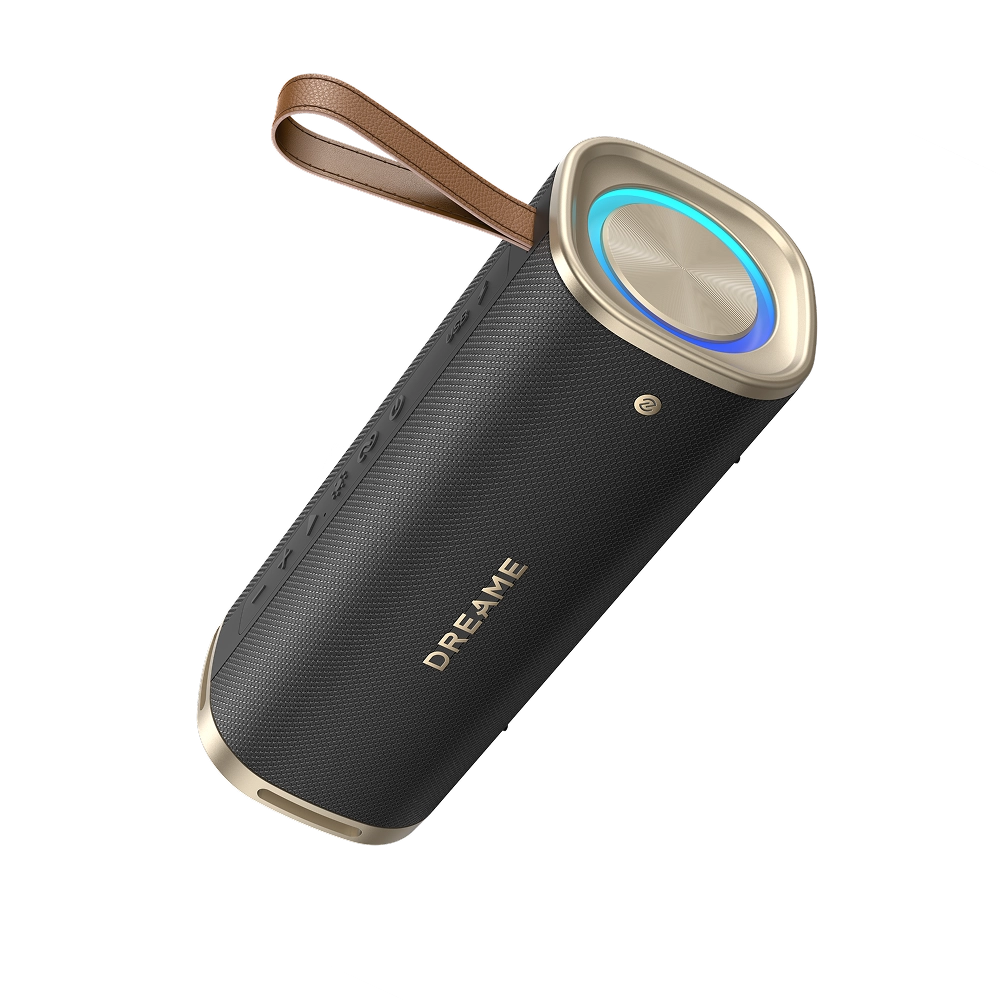 Беспроводная колонка Dreame S10
